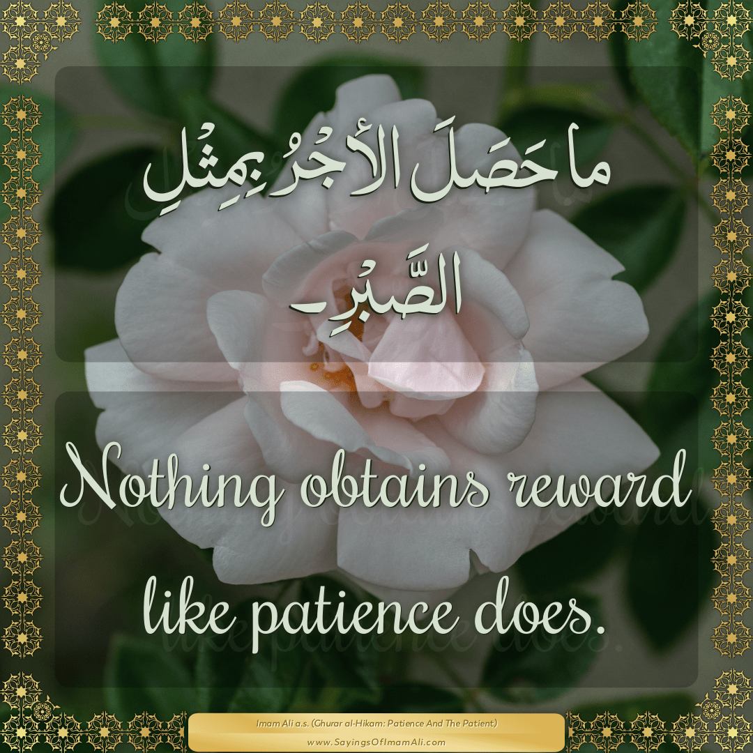 Nothing obtains reward like patience does.